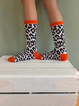 Preview: Leo Style 35-41 - Leo Socke mit orange