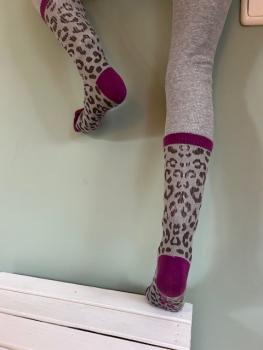 Preview: Leo Style 35-41 - Leo Socke mit Lila